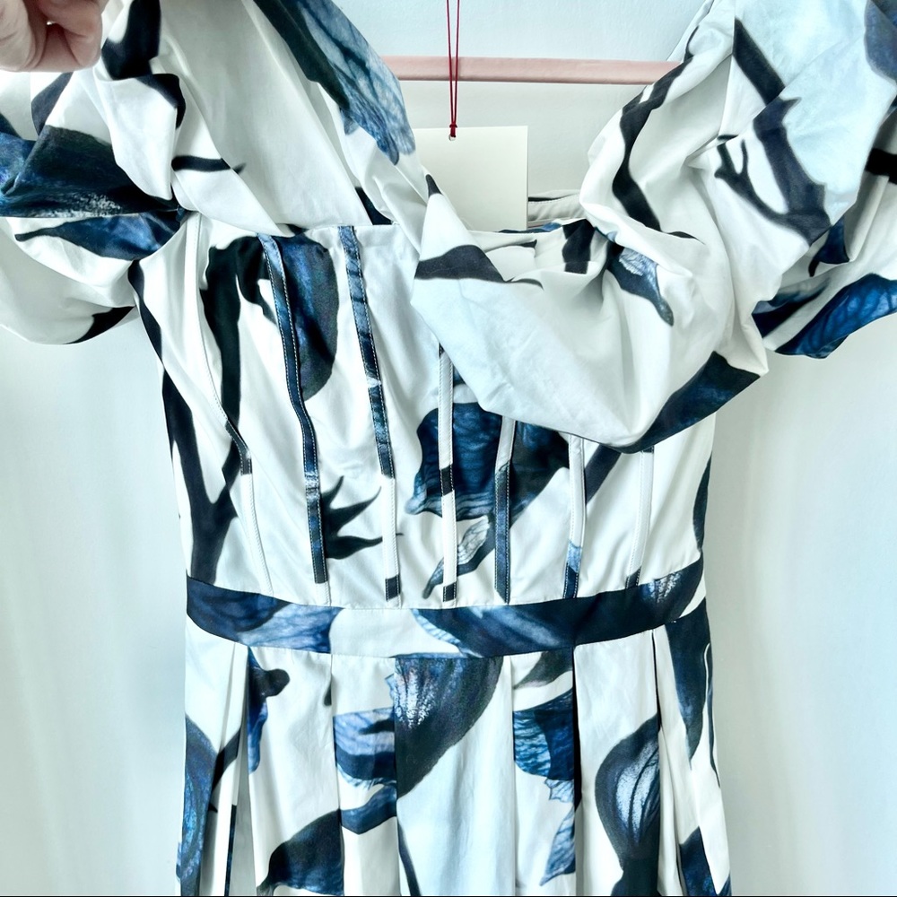 Alexander McQueen Ruffled Floral-Print Cotton Poplin Corset Maxi Dress - Picture 7 of 12